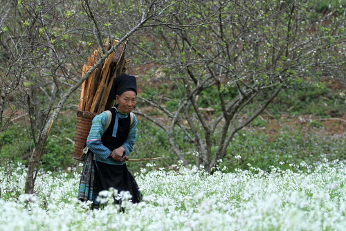 H’Mong ethnic minority people welcome Tet